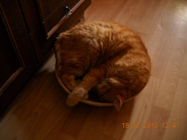 Чем меньше корзиночка, тем удобнее )))