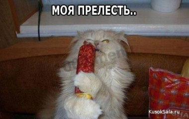 красота красота