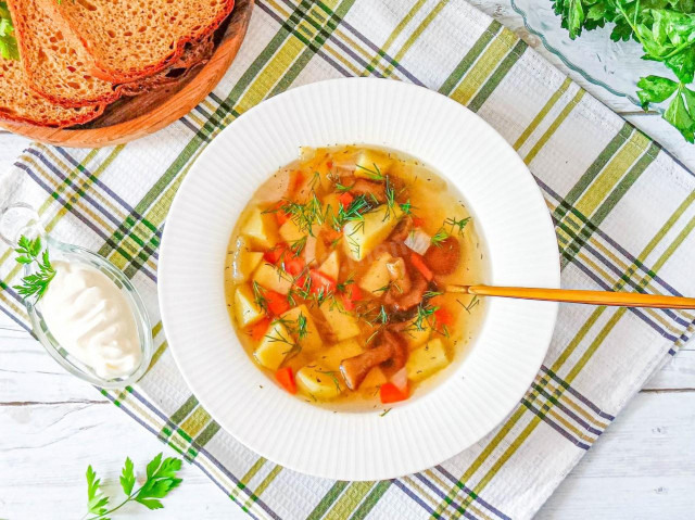 Суп из опят замороженных Суп из опят замороженных