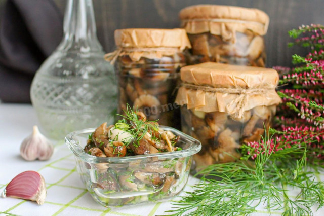 Маринованные опята в банках на зиму Маринованные опята в банках на зиму