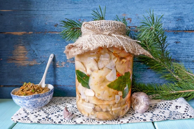 Засолка белых груздей холодным способом в банках Засолка белых груздей холодным способом в банках