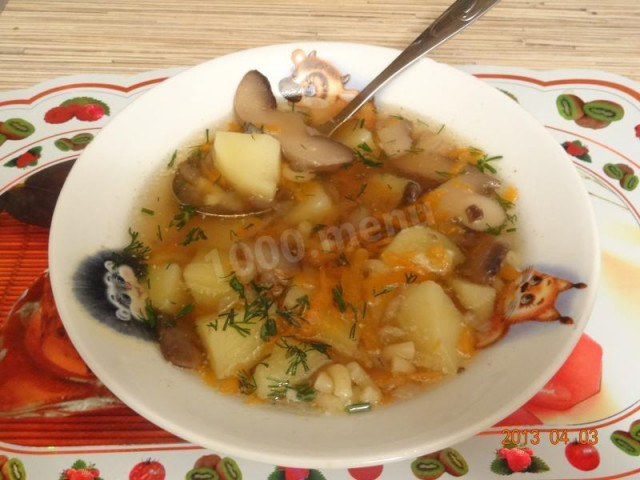 Грибной суп из лесных грибов с вермишелью и картошкой