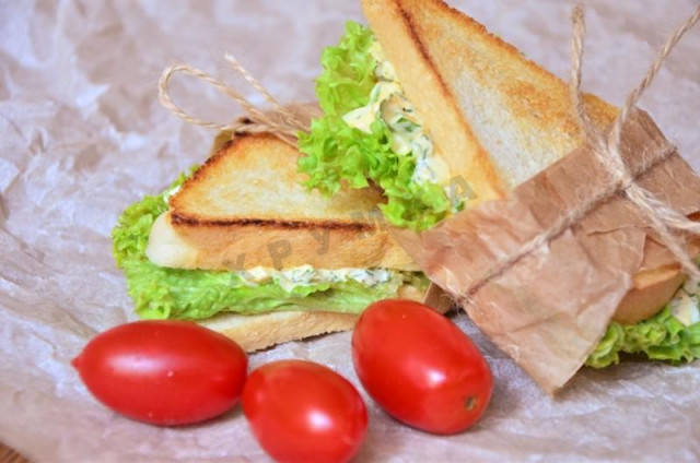 Бутерброды для пикника сэндвич