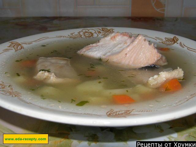 рыбный суп без крупы