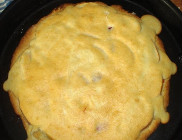 Вкусный яблочной пирог с бисквитным покрытием