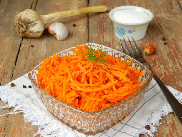 Морковча домашняя