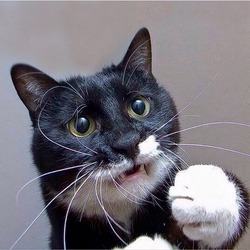 АндрейСвиридов