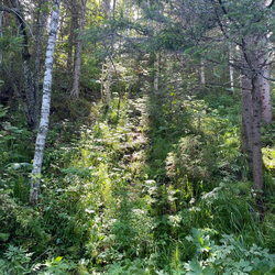 Кристина М.