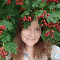 Елена 4671