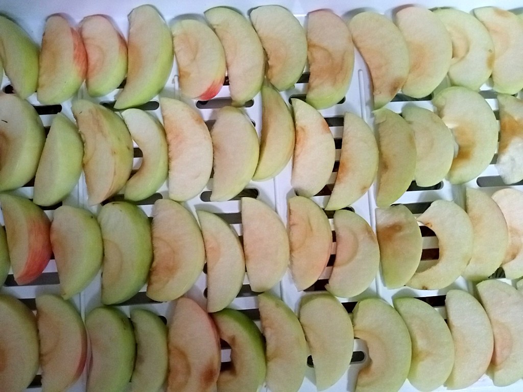 Можно заморозить яблоки