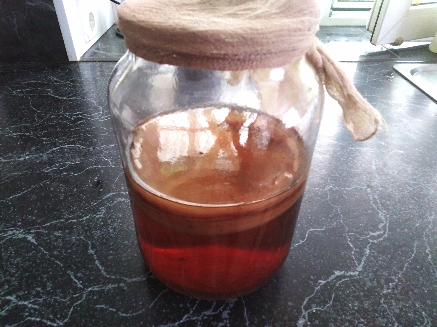 Рецепт гриба чайного на 3 литровую. Чайный гриб в бутылках. Чайный гриб в ржавчине. Гриб чайный как сделать. Больной чайный гриб фото.