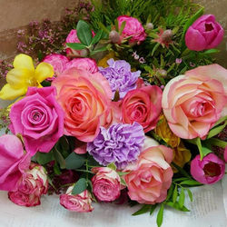 Наталичка Литвинова