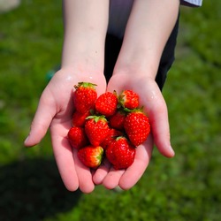 Карина Сухова
