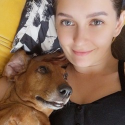 Лимонная волчица