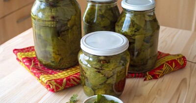 Маринованные виноградные листья на зиму