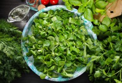 салат с тунцом и каперсами рецепт с фото пошаговый. Смотреть фото салат с тунцом и каперсами рецепт с фото пошаговый. Смотреть картинку салат с тунцом и каперсами рецепт с фото пошаговый. Картинка про салат с тунцом и каперсами рецепт с фото пошаговый. Фото салат с тунцом и каперсами рецепт с фото пошаговый салат с тунцом и каперсами рецепт с фото пошаговый. Смотреть фото салат с тунцом и каперсами рецепт с фото пошаговый. Смотреть картинку салат с тунцом и каперсами рецепт с фото пошаговый. Картинка про салат с тунцом и каперсами рецепт с фото пошаговый. Фото салат с тунцом и каперсами рецепт с фото пошаговый