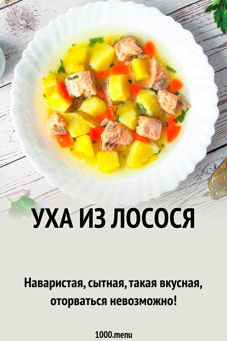 Уха из лосося рецепт фото пошагово и видео - 1000.menu