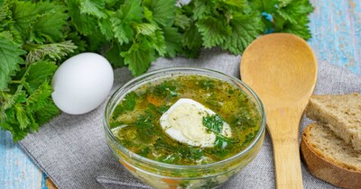 Куриный суп с овощами и молодой крапивой