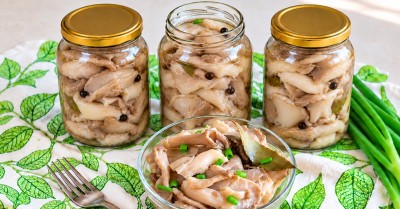 Маринованные вешенки на зиму