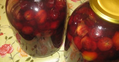 Компот зимний сливовый