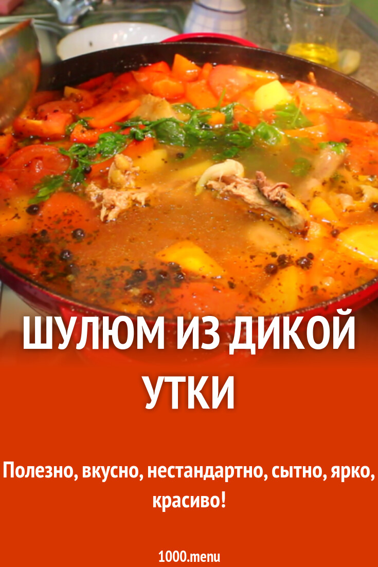 Суп С Дикой Уткой Рецепт С Фото
