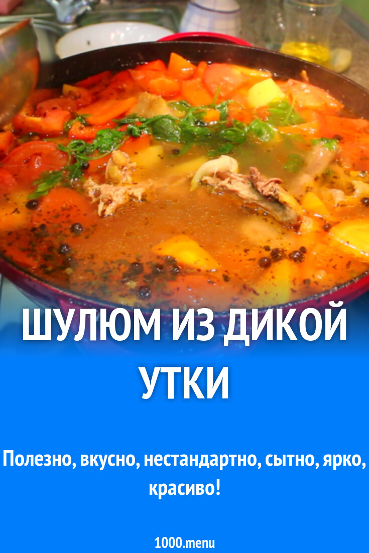 Шулюм из дикой утки рецепт фото пошагово и видео - 1000.menu