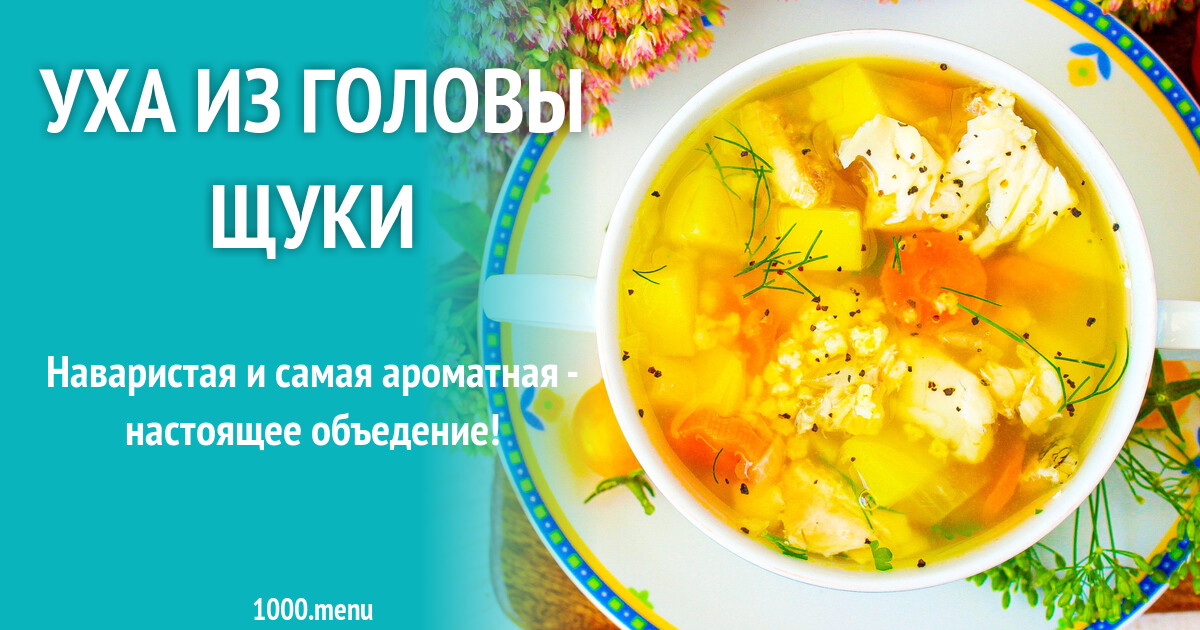 Как варить уху из головы щуки. Как варить уху из головы щуки