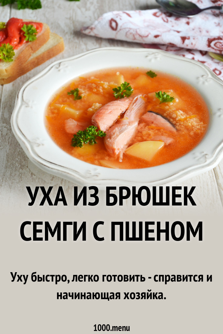 Уха из брюшек семги