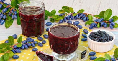 Жимолость на зиму с сахаром без варки