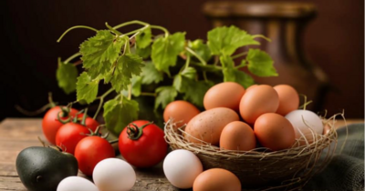 Как хранить яйца