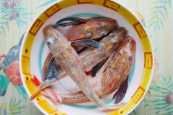 Красный морской петух рецепт. ryba krasnyi petux v tomatno ovoshchnom souse v. Красный морской петух рецепт фото. Красный морской петух рецепт-ryba krasnyi petux v tomatno ovoshchnom souse v. картинка Красный морской петух рецепт. картинка ryba krasnyi petux v tomatno ovoshchnom souse v. Общая калорийность подсчитана лишь частично и не включает в себя состав, у которого не удалось посчитать калорийность: Рыба