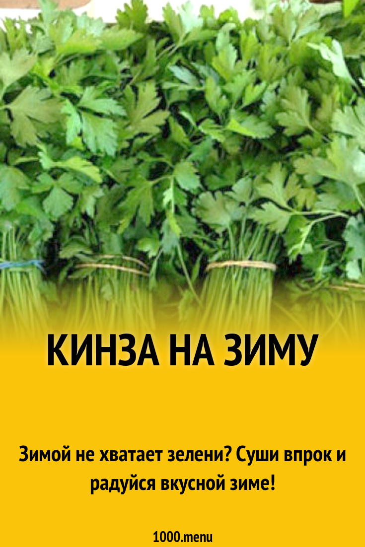Сушеная кинза на зиму рецепт фото пошагово и видео - 1000.menu