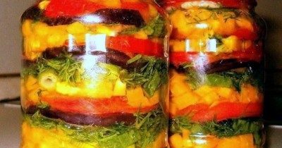 Баклажаны с яблочным уксусом помидорами и чесноком слоями