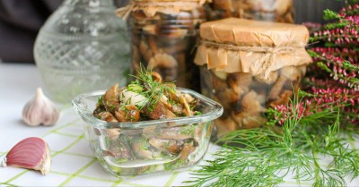 Маринованные опята в банках на зиму