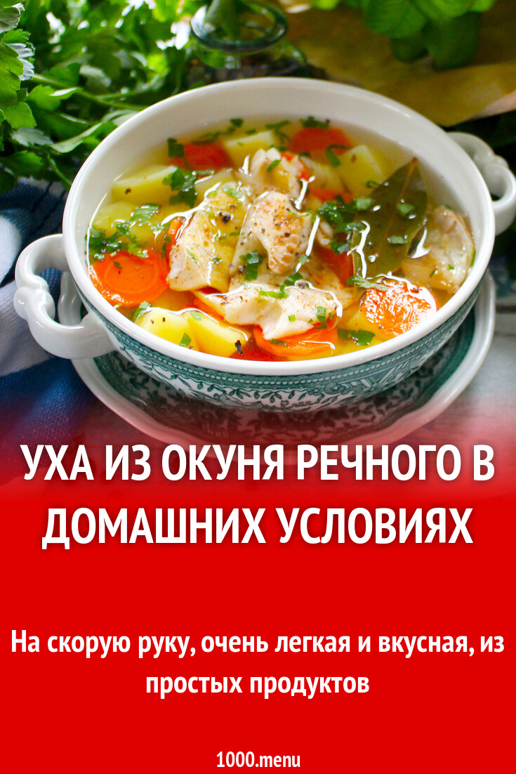 Уха из окуня речного в домашних условиях рецепт с фото пошагово - 1000.menu