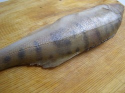 рыба тушеная с кабачками и помидорами. Смотреть фото рыба тушеная с кабачками и помидорами. Смотреть картинку рыба тушеная с кабачками и помидорами. Картинка про рыба тушеная с кабачками и помидорами. Фото рыба тушеная с кабачками и помидорами рыба тушеная с кабачками и помидорами. Смотреть фото рыба тушеная с кабачками и помидорами. Смотреть картинку рыба тушеная с кабачками и помидорами. Картинка про рыба тушеная с кабачками и помидорами. Фото рыба тушеная с кабачками и помидорами