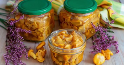 Маринованные лисички на зиму