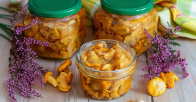 Маринованные лисички на зиму