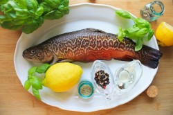 рыба на костре калорийность. Смотреть фото рыба на костре калорийность. Смотреть картинку рыба на костре калорийность. Картинка про рыба на костре калорийность. Фото рыба на костре калорийность рыба на костре калорийность. Смотреть фото рыба на костре калорийность. Смотреть картинку рыба на костре калорийность. Картинка про рыба на костре калорийность. Фото рыба на костре калорийность