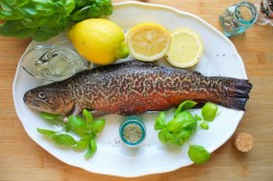 рыба на костре калорийность. Смотреть фото рыба на костре калорийность. Смотреть картинку рыба на костре калорийность. Картинка про рыба на костре калорийность. Фото рыба на костре калорийность рыба на костре калорийность. Смотреть фото рыба на костре калорийность. Смотреть картинку рыба на костре калорийность. Картинка про рыба на костре калорийность. Фото рыба на костре калорийность