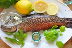 рыба на костре калорийность. Смотреть фото рыба на костре калорийность. Смотреть картинку рыба на костре калорийность. Картинка про рыба на костре калорийность. Фото рыба на костре калорийность рыба на костре калорийность. Смотреть фото рыба на костре калорийность. Смотреть картинку рыба на костре калорийность. Картинка про рыба на костре калорийность. Фото рыба на костре калорийность