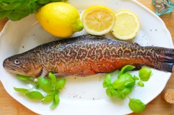 рыба на костре калорийность. Смотреть фото рыба на костре калорийность. Смотреть картинку рыба на костре калорийность. Картинка про рыба на костре калорийность. Фото рыба на костре калорийность рыба на костре калорийность. Смотреть фото рыба на костре калорийность. Смотреть картинку рыба на костре калорийность. Картинка про рыба на костре калорийность. Фото рыба на костре калорийность