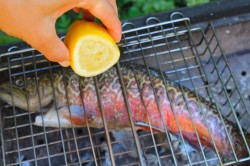 рыба на костре калорийность. Смотреть фото рыба на костре калорийность. Смотреть картинку рыба на костре калорийность. Картинка про рыба на костре калорийность. Фото рыба на костре калорийность рыба на костре калорийность. Смотреть фото рыба на костре калорийность. Смотреть картинку рыба на костре калорийность. Картинка про рыба на костре калорийность. Фото рыба на костре калорийность