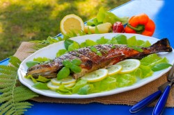 рыба на костре калорийность. Смотреть фото рыба на костре калорийность. Смотреть картинку рыба на костре калорийность. Картинка про рыба на костре калорийность. Фото рыба на костре калорийность рыба на костре калорийность. Смотреть фото рыба на костре калорийность. Смотреть картинку рыба на костре калорийность. Картинка про рыба на костре калорийность. Фото рыба на костре калорийность