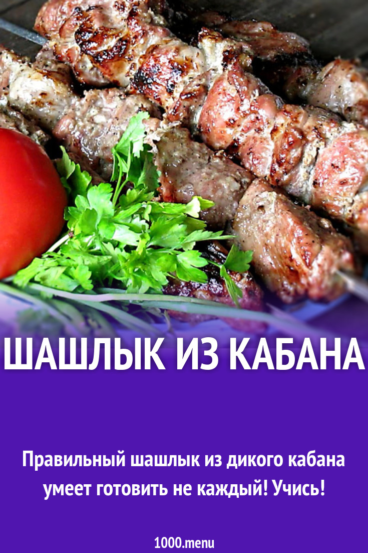 Дикий шашлык. Дикий шашлык. Шашлык из утки. Шашлык из кабана. Мясо дикого кабана шашлык.