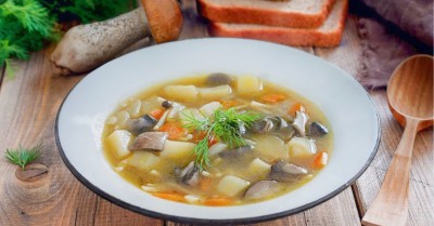Грибной суп из лесных грибов
