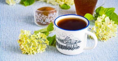 Квас из цикория в домашних условиях