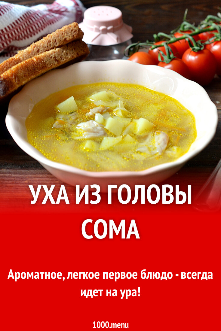 Уха из головы сома рецепт с фото пошагово - 1000.menu