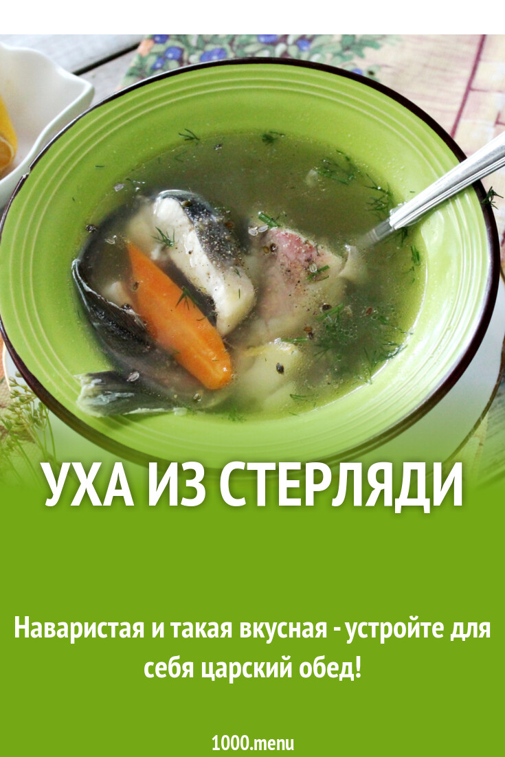 Уха из стерляди рецепт с фото пошагово - 1000.menu