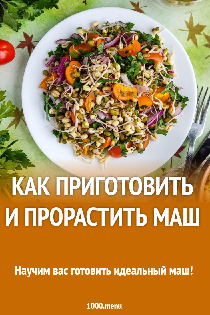 Маш: как приготовить и прорастить - 1000.menu